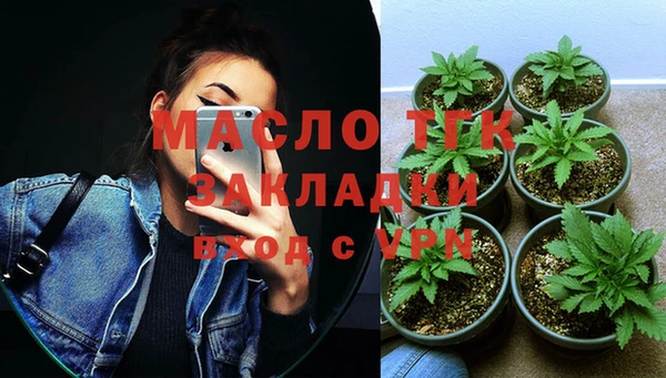 гашик Михайловка