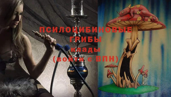 дживик Медвежьегорск