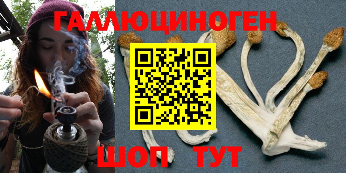 Галлюциногенные грибы мухоморы  где купить   Ипатово 