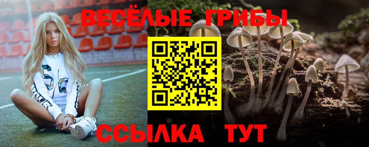 Псилоцибиновые грибы мицелий Ипатово