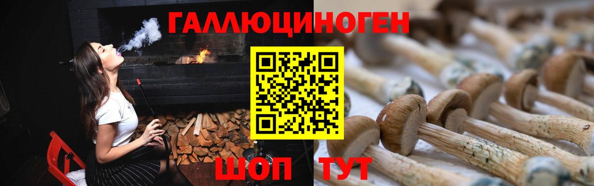 Ипатово  Галлюциногенные грибы GOLDEN TEACHER  Вход с VPN 